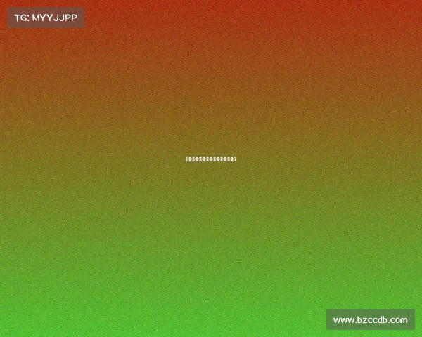 法乙赛事分析法乙比赛比分赛果